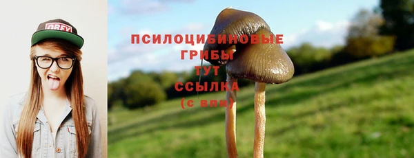 a pvp Алзамай