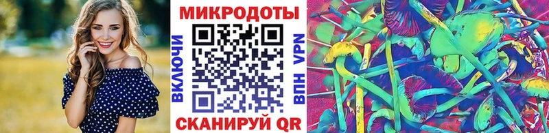 Галлюциногенные грибы Psilocybine cubensis  Нефтеюганск 